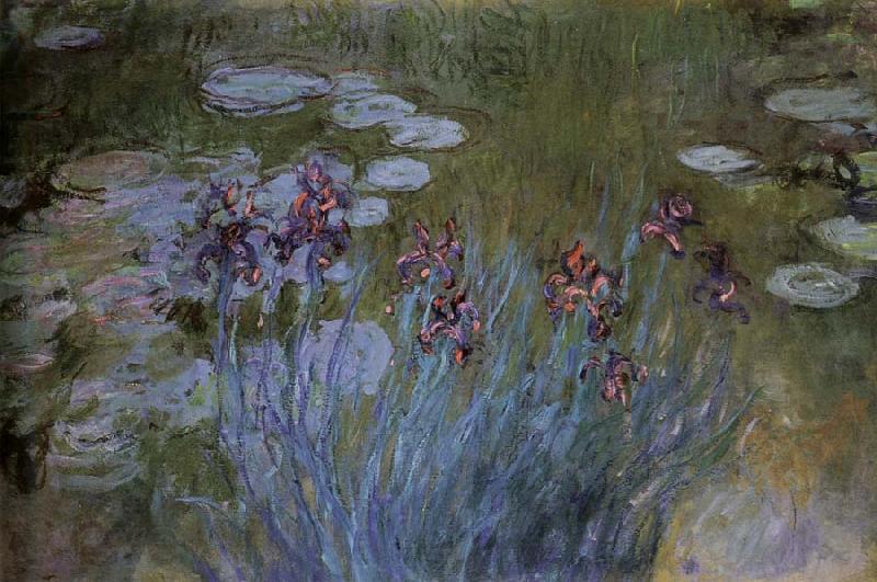 Claude Monet Irises and Water Lillies Norge oil painting art